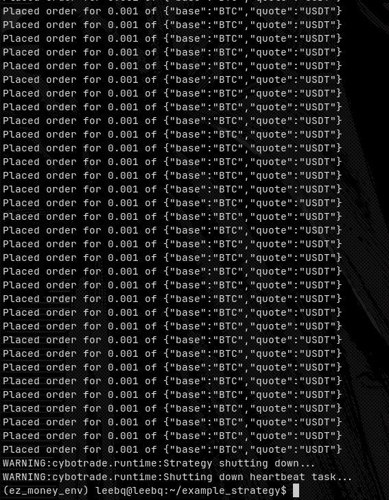 output of example strategy